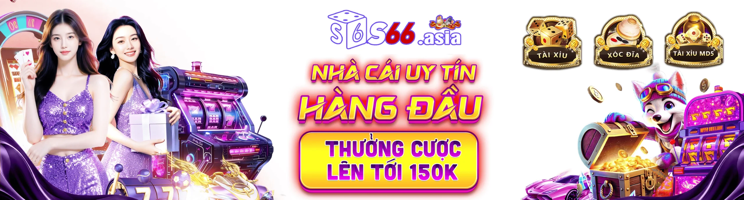 s66 banner