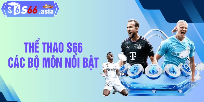 Danh sách các bộ môn cá cược nổi bật tại sảnh thể thao S66