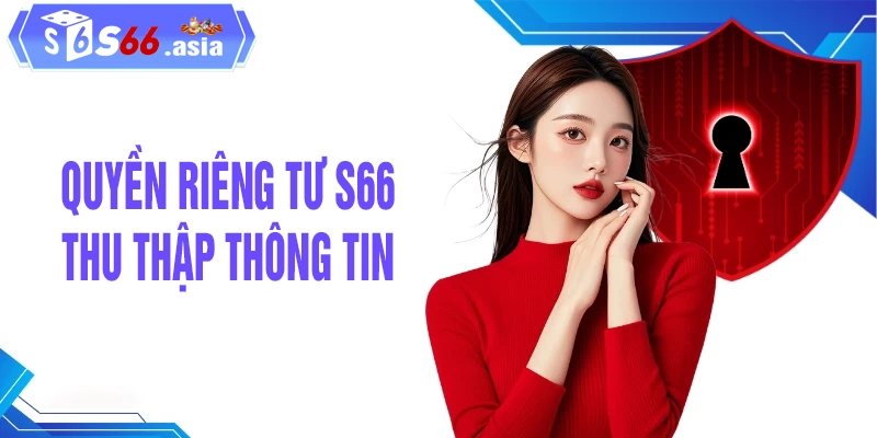 Các loại thông tin mà S66 thu thập trong chính sách quyền riêng tư