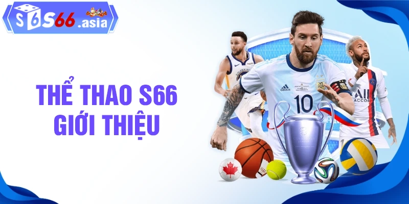 Tổng quan sơ lược về sảnh cá cược thể thao S66