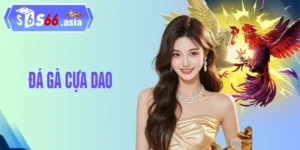 Những Màn So Tài Đá Gà Cựa Dao Nảy Lửa